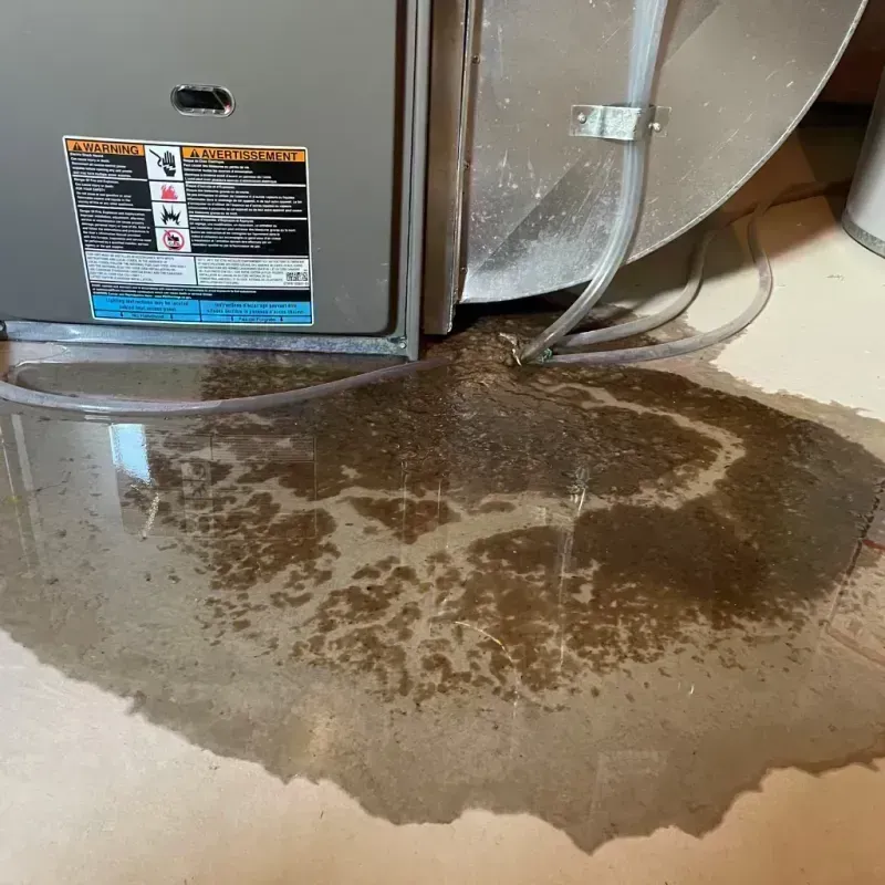 Appliance Leak Cleanup in Saline County, IL